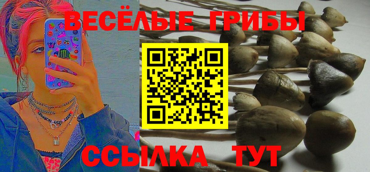 Галлюциногенные грибы мицелий  Вход с VPN  Миасс 